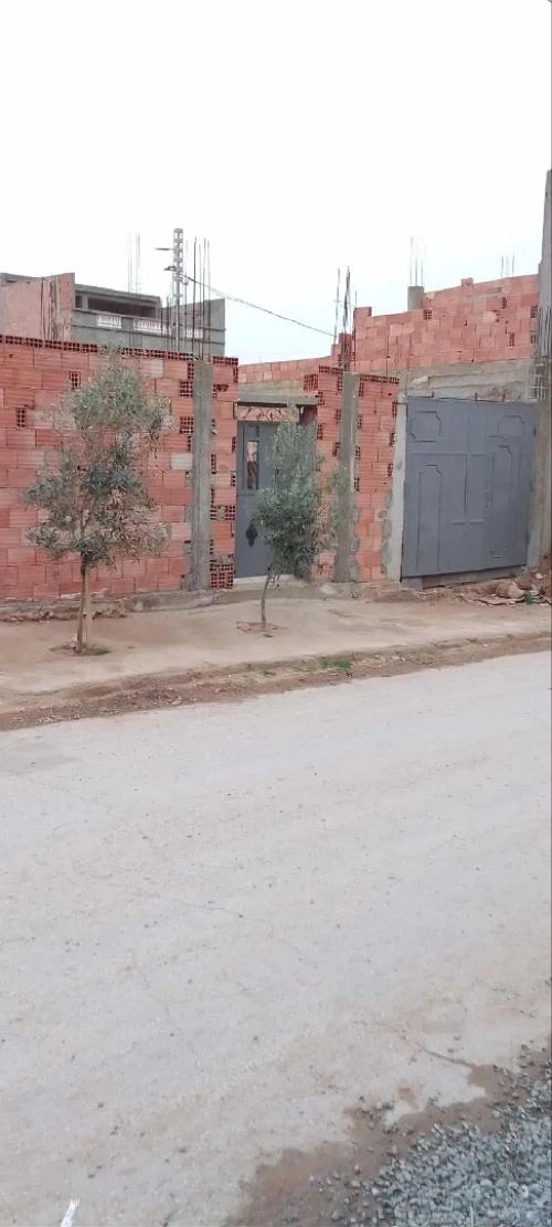 Vente Terrain Oran Boufatis