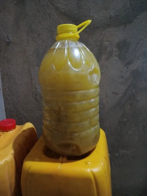 بلدية الأصنام 