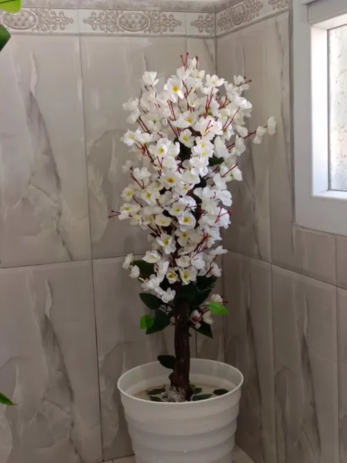 Plants arteficilles اشجار زينة 