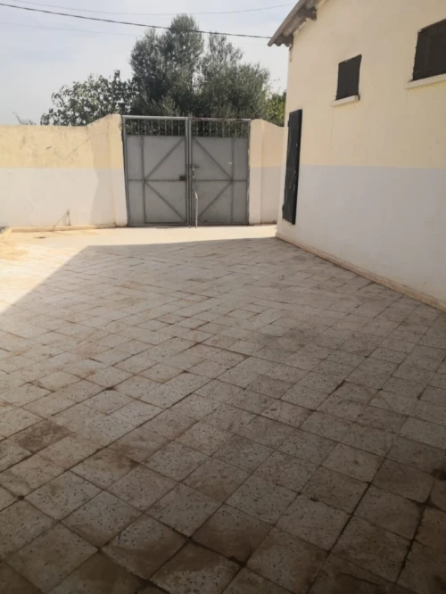 Location Appartement F3 Blida Boufarik