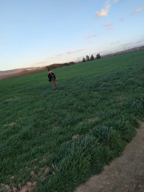 Vente Terrain Tébessa Tebessa