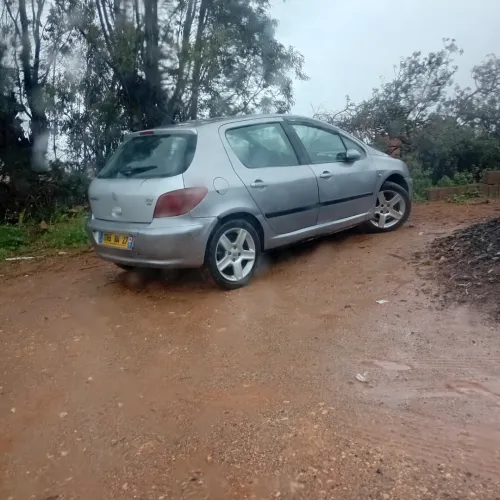 Peugeot 307 2004 XT