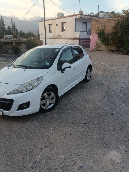 Peugeot 207 2012 Fennec