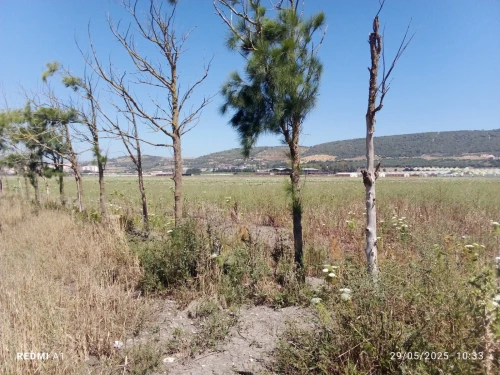Vente Terrain Agricole Appartement F3 Tipaza Sidi rached