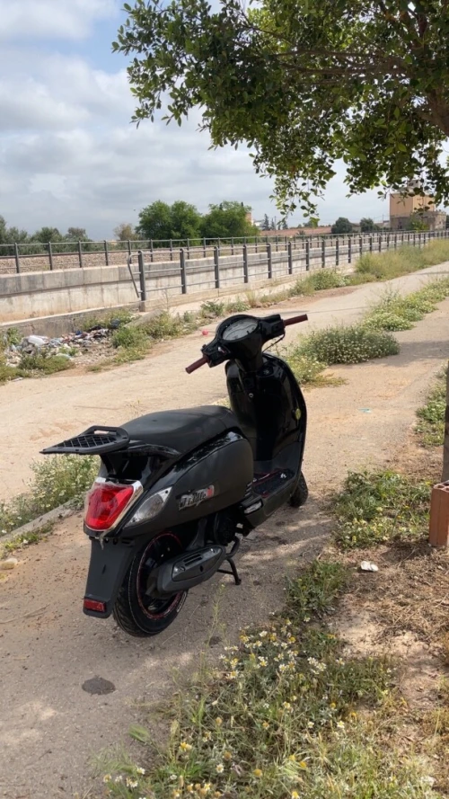 Sym Fiddele 3 2019