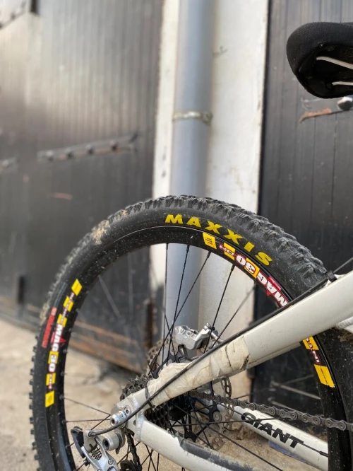 Velo giant glory8