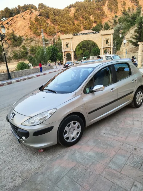 Peugeot 307 2006 XT
