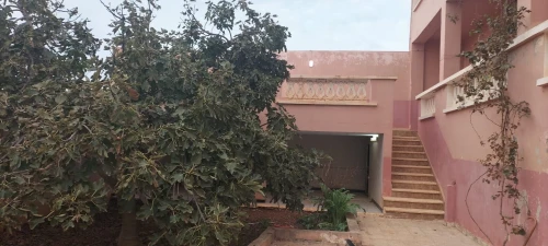 Vente bien immobilier Tlemcen Nedroma