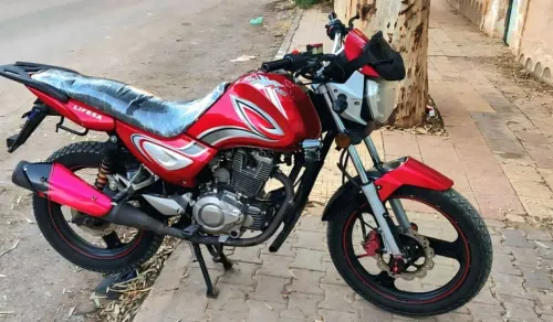 Hipo 200 2019