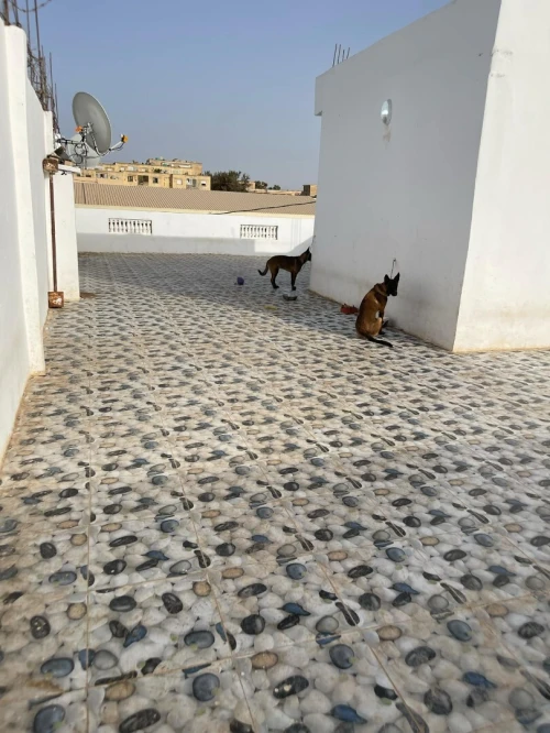 Vente Villa Oran El Kerma