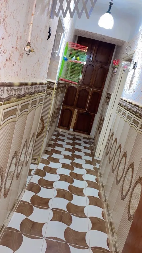Vente Appartement Sidi Bel Abbès Sfissef