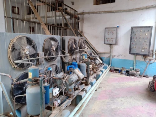 Vente Hangar Tlemcen Tlemcen