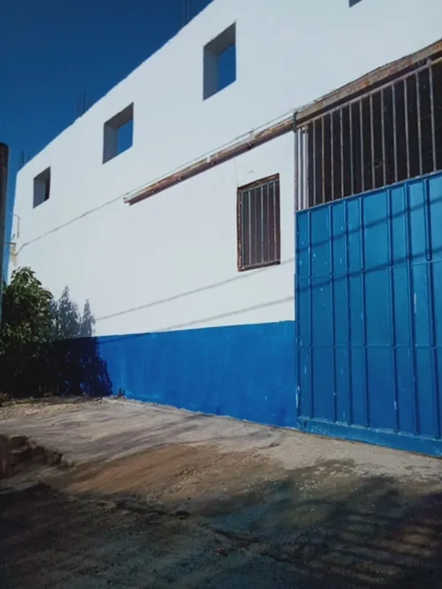 Vente Hangar Tlemcen Tlemcen