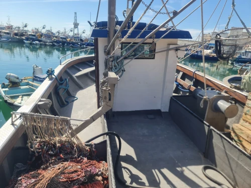 Sardinier