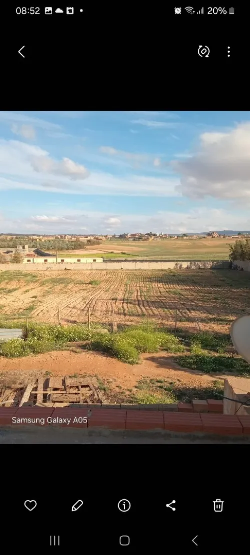 Vente Terrain Sidi Bel Abbès Amarnas