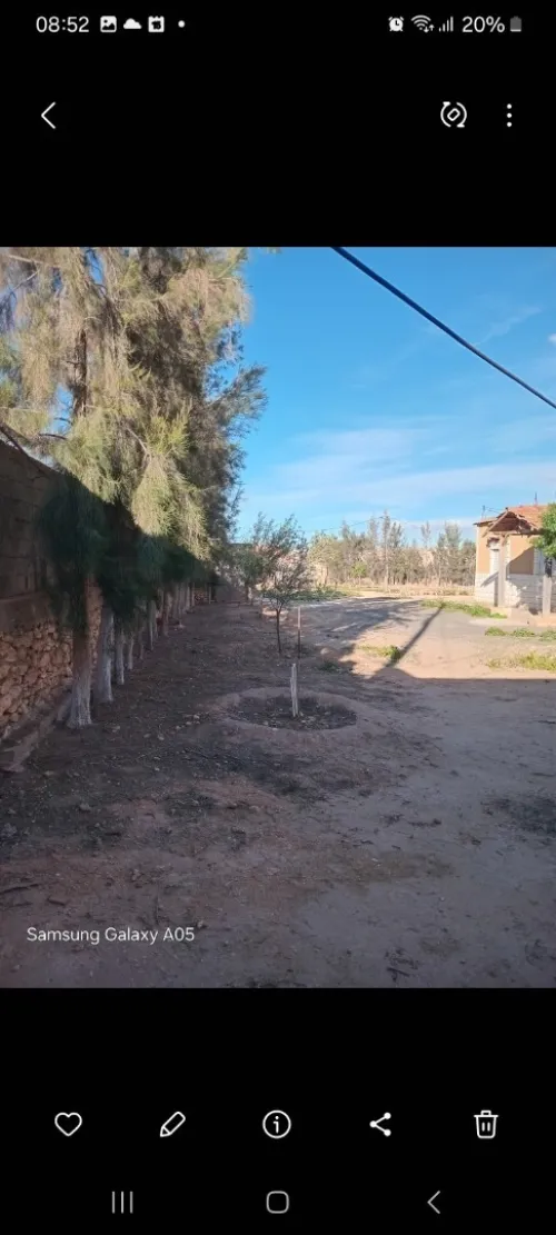Vente Terrain Agricole Sidi Bel Abbès Amarnas