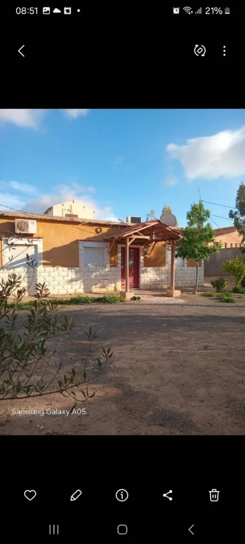Vente Terrain Agricole Sidi Bel Abbès Amarnas