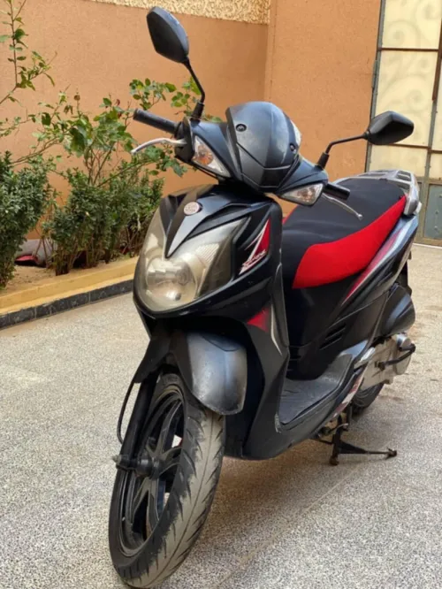 Sim Sr 2019