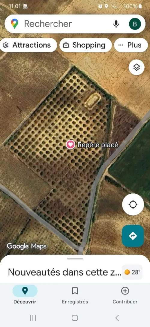 Vente Terrain Agricole Mostaganem Hassi maameche