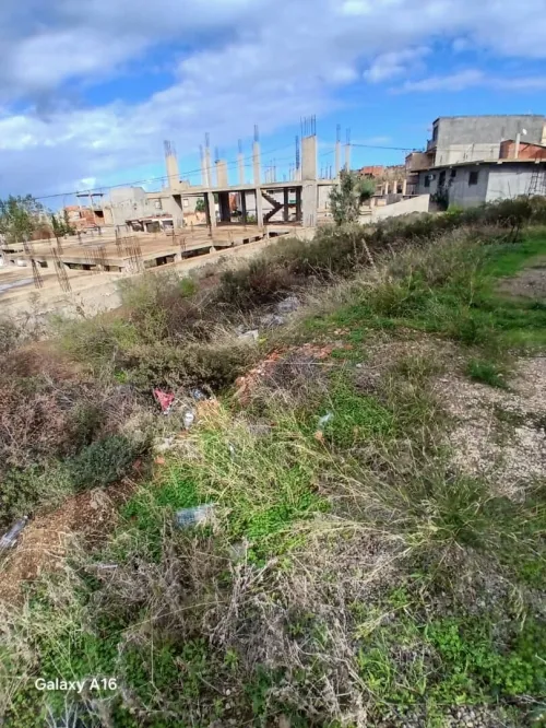 Vente Terrain Tipaza Cherchell
