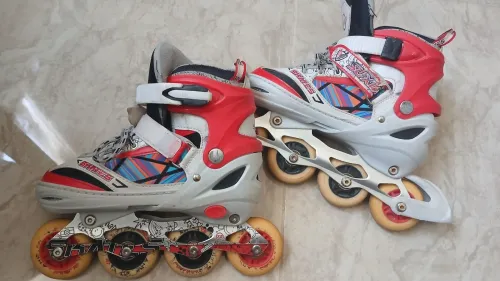 Rollers professionnel 
