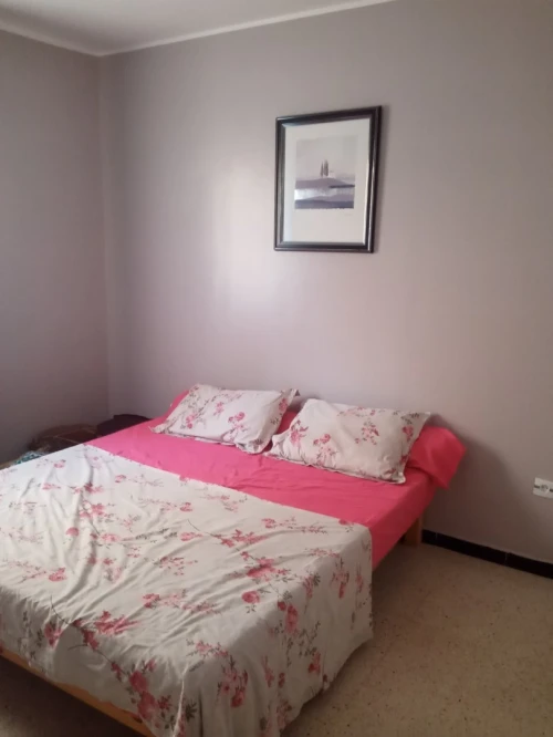 Location Appartement F3 Alger Saoula