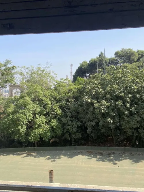 Vente Appartement F6 Alger Sidi mhamed