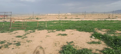 Vente Terrain Agricole Tlemcen Hennaya
