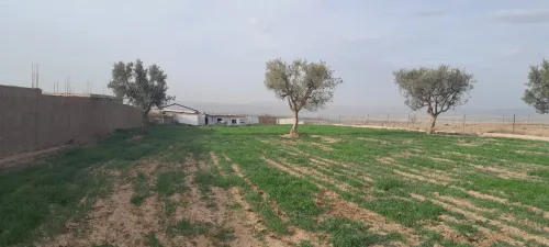 Vente Terrain Agricole Tlemcen Hennaya