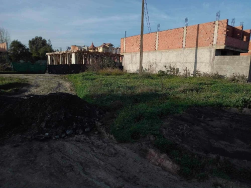 Vente Terrain Alger Sidi moussa