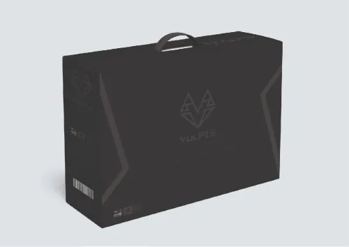 Micro ordinateur all in one vulpes (I3-6100.8go ram 256go ssd. 24")