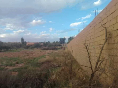 Vente Terrain Djelfa Ain el ibel