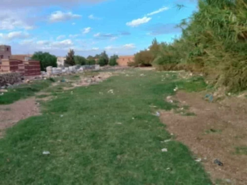 Vente Terrain Djelfa Ain el ibel