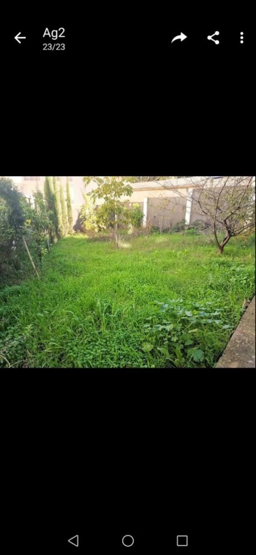 Location bien immobilier Alger Saoula