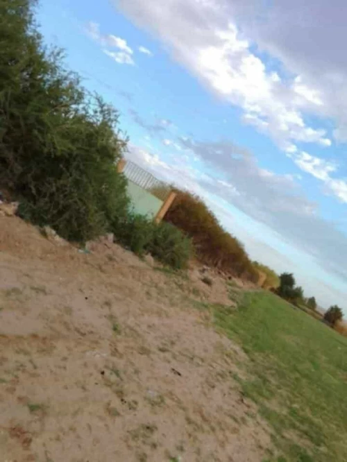 Vente Terrain Djelfa Ain el ibel