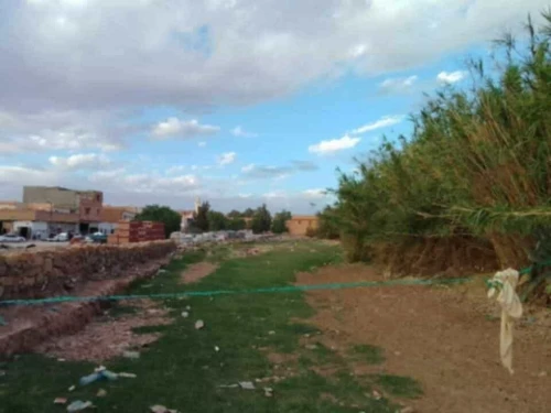 Vente Terrain Djelfa Ain el ibel
