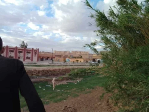 Vente Terrain Djelfa Ain el ibel