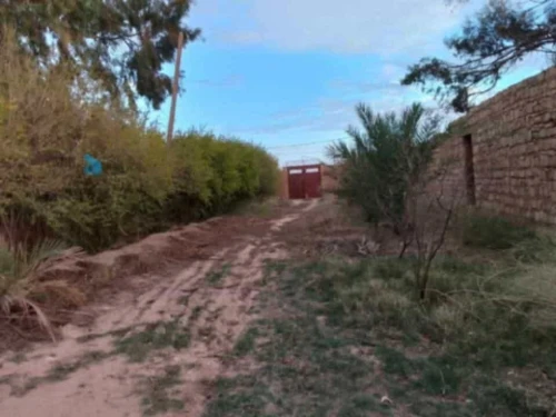 Vente Terrain Djelfa Ain el ibel
