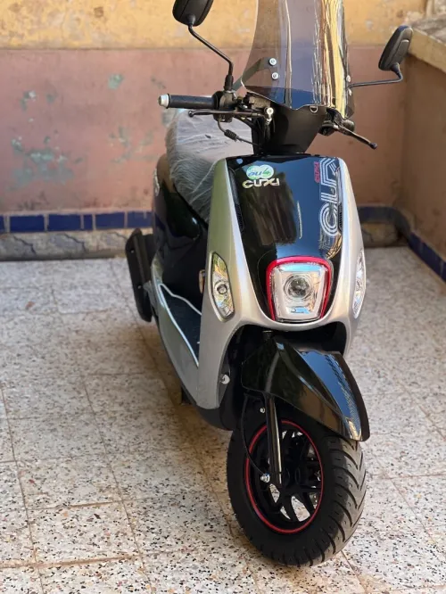 Vms كوكسي 2 2025