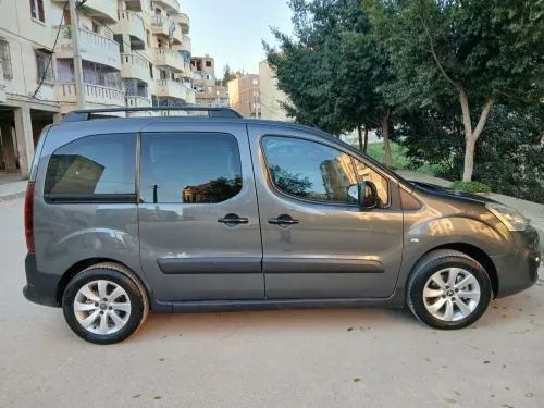 Citroen Berlingo 2019 Berlingo
