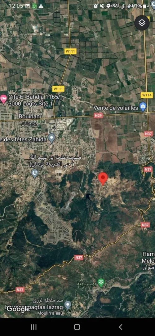 Vente Terrain Blida Bouinan