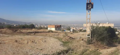 Vente Terrain Blida Bouinan