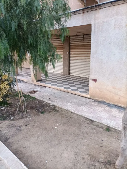 Vente Local Médéa Benchicao