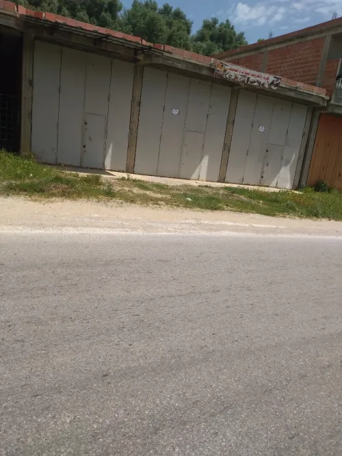 Vente Villa Jijel El milia