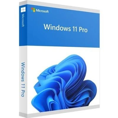 Clé Windows 11 Professionnel original