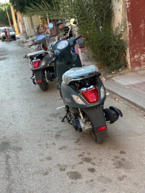 Sym Fiddle 3 2025