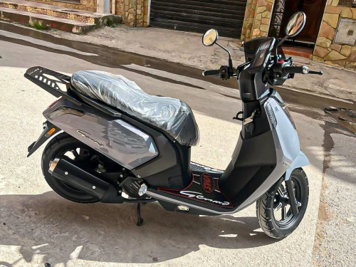 VmS Gemma 2026