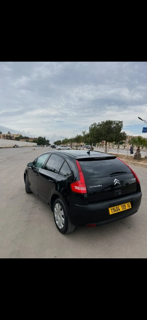 Citroen C4 2009 Vitamine
