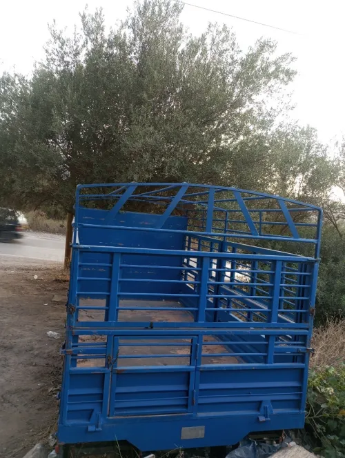 Plateaux ridelle Chelha Blida 2014