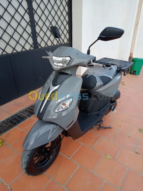 Joki Vms 2023